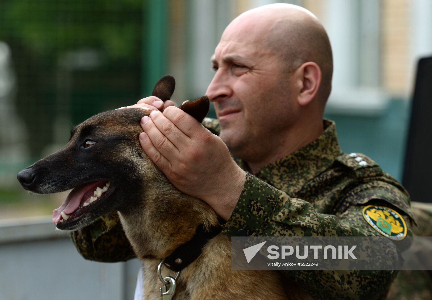 Dog handler competition in Vladivostok