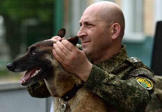 Dog handler competition in Vladivostok