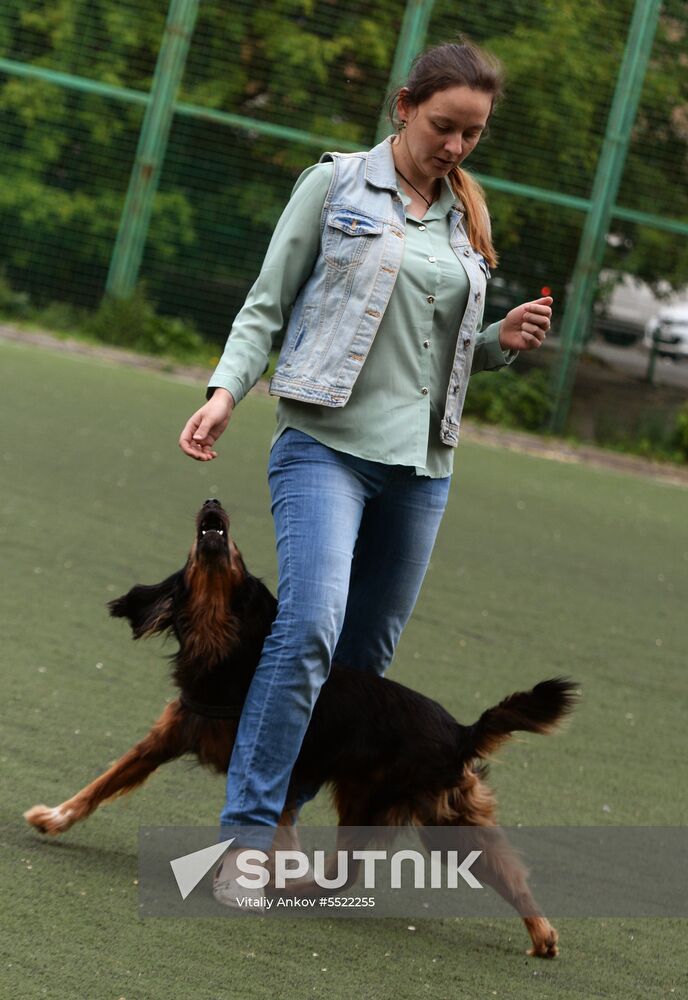Dog handler competition in Vladivostok