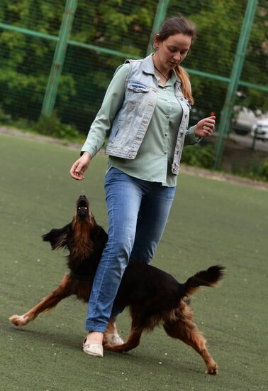 Dog handler competition in Vladivostok