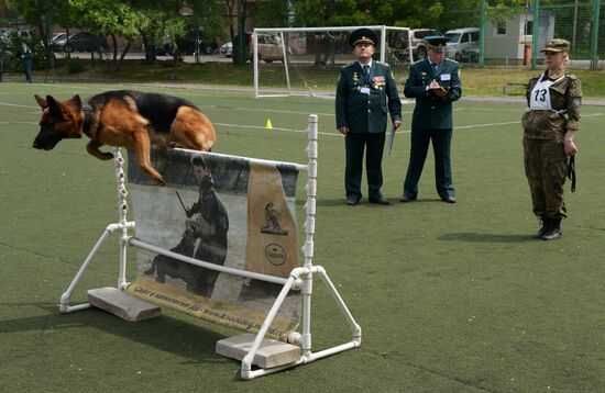Dog handler competition in Vladivostok