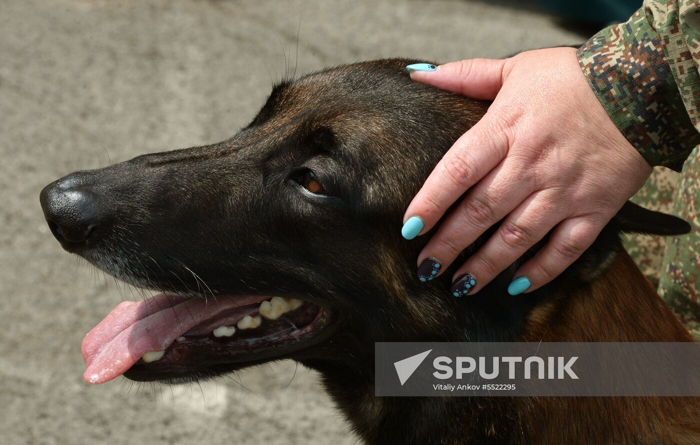 Dog handler competition in Vladivostok