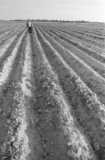 Rural cooperative members