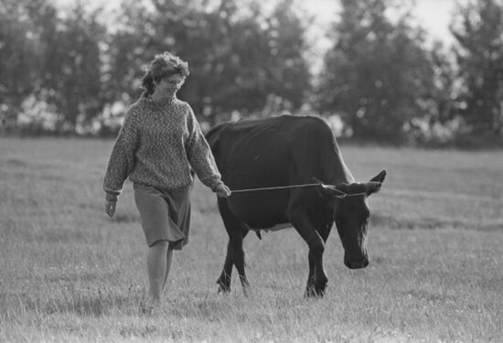 Rural cooperative members