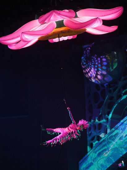 A Midsummer Night's Dream musical premieres at Moskvarium