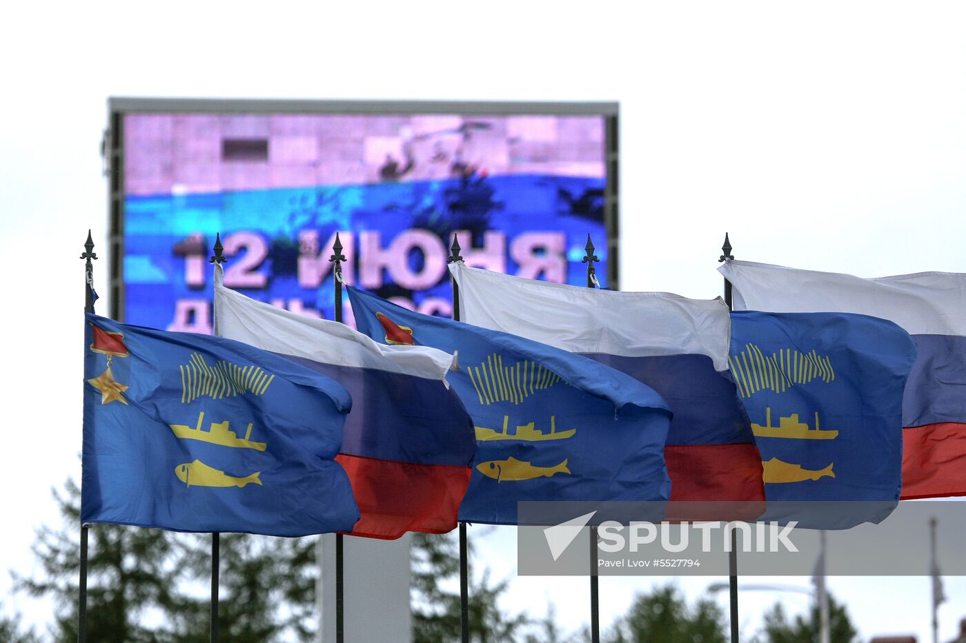 Russia Day celebration