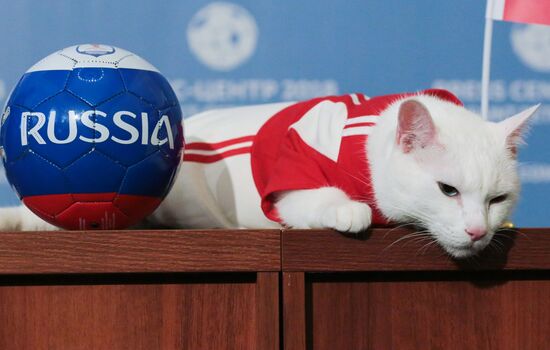 Russia World Cup Prediction