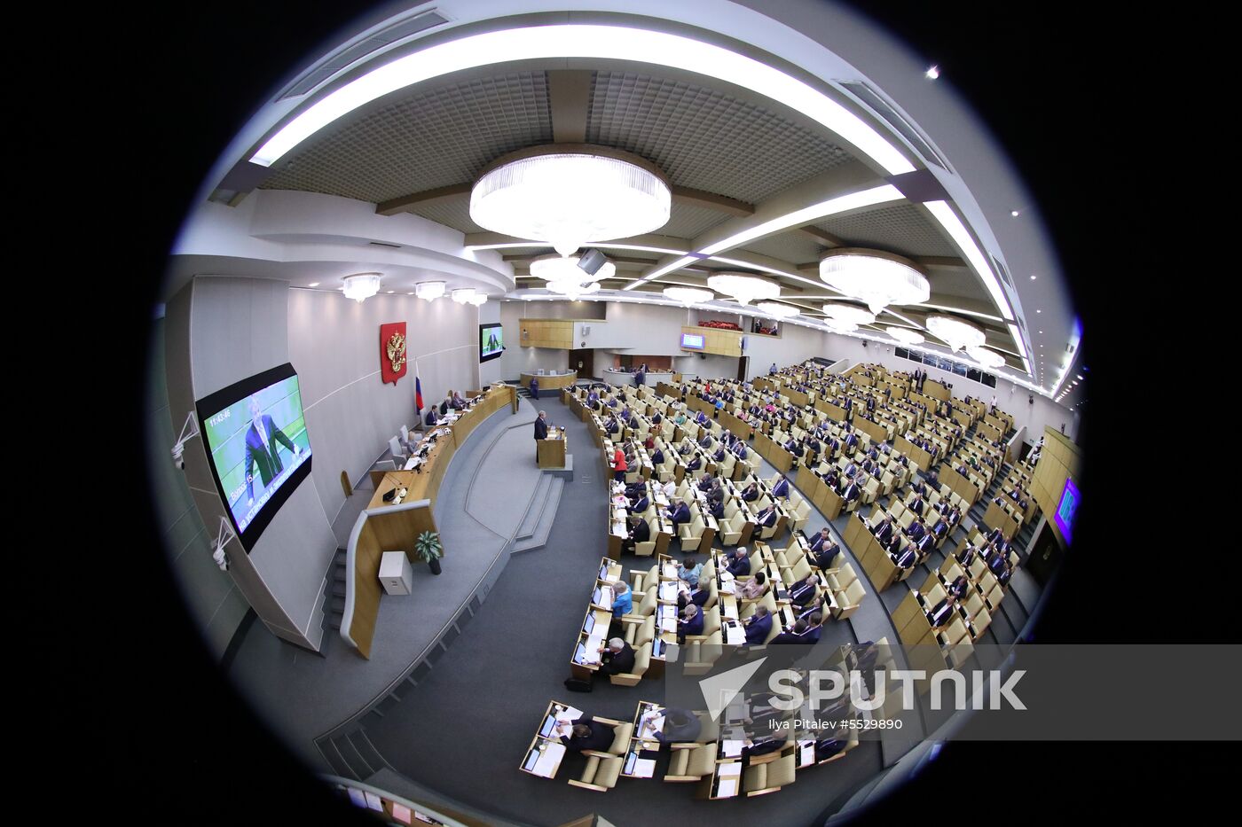 State Duma plenary meeting