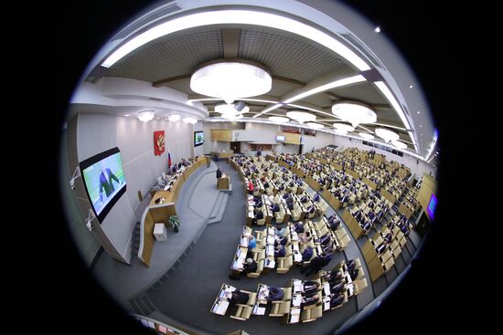State Duma plenary meeting