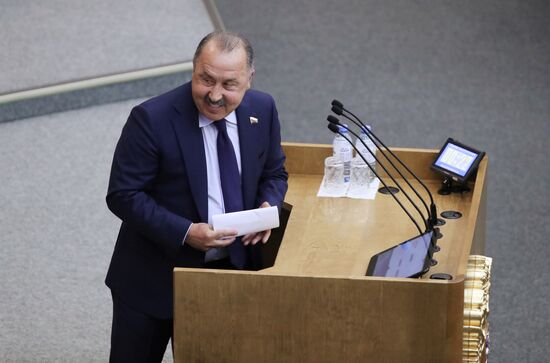 State Duma plenary meeting