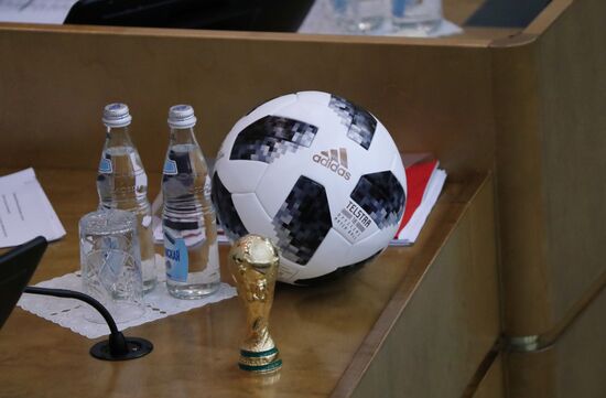 State Duma plenary meeting