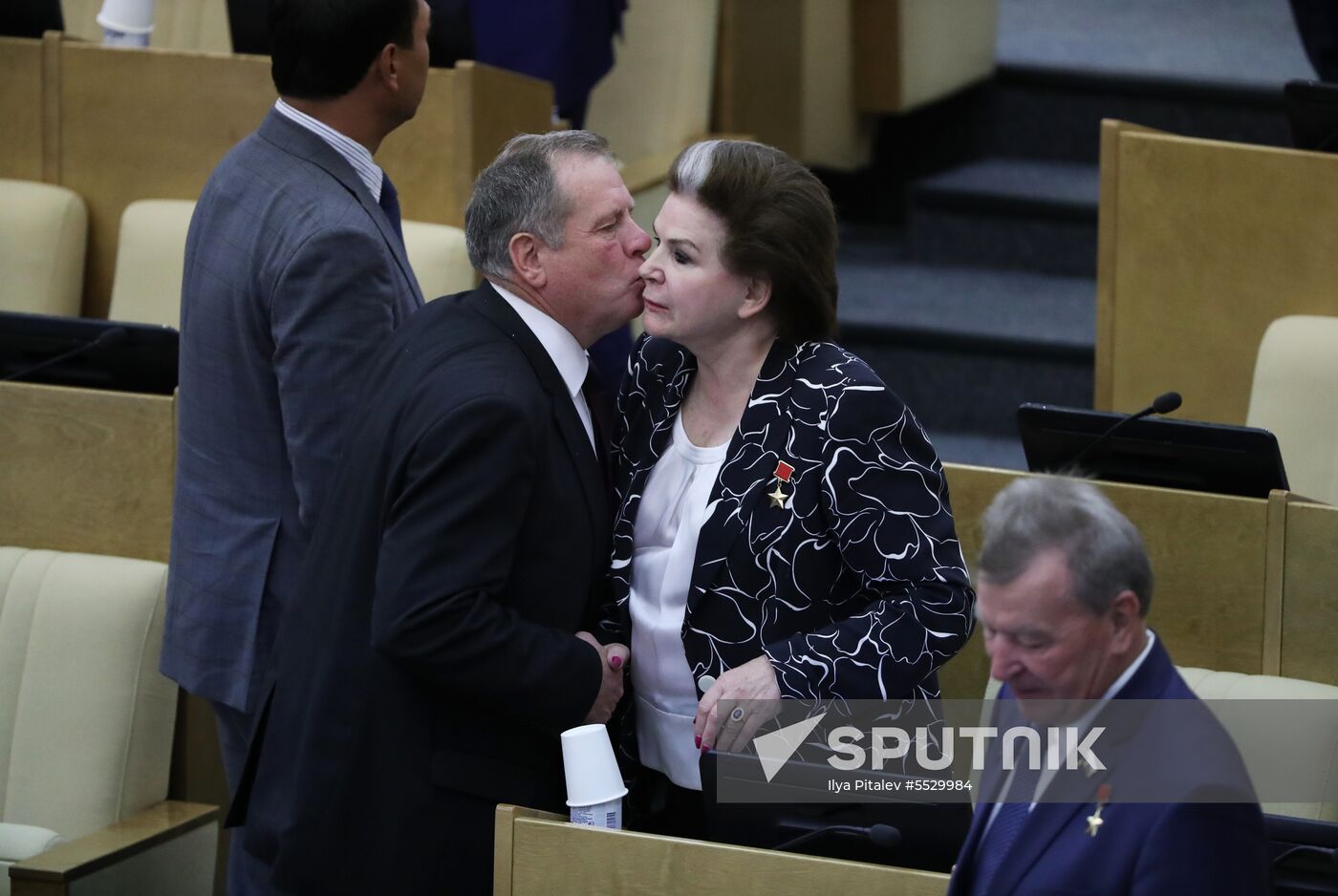 State Duma plenary meeting