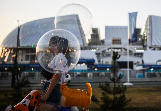 Sochi prepares for 2018 FIFA World Cup