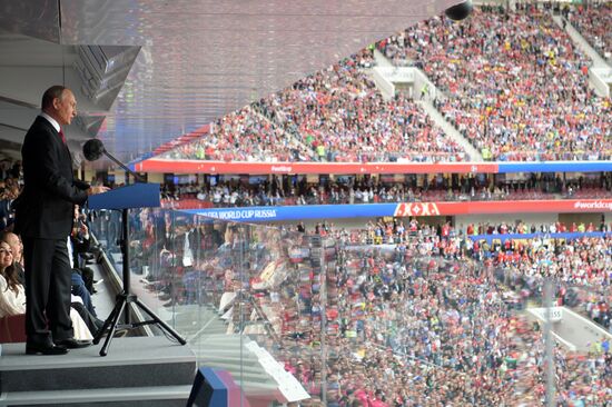 President Putin, PM Medvedev attend 2018 FIFA World Cup opening ceremony