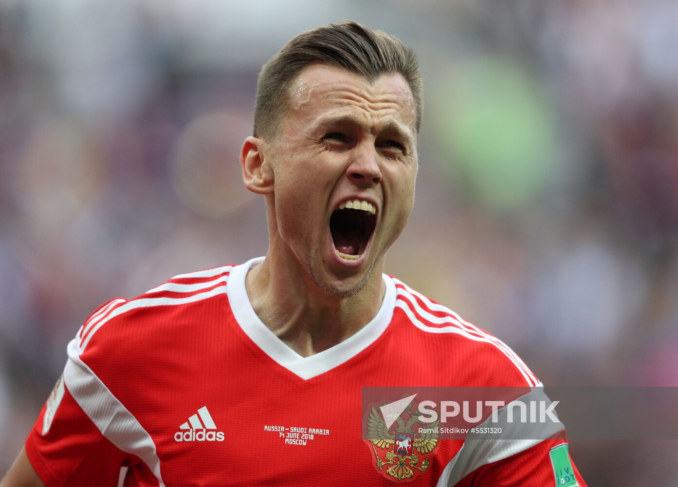 Russia World Cup Russia - Saudi Arabia