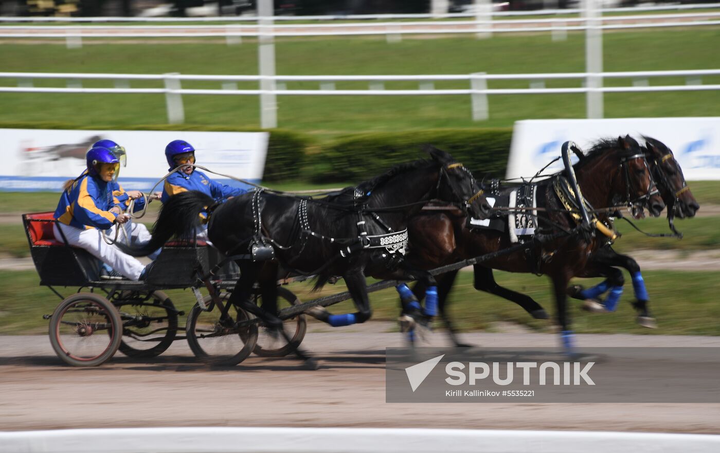 Radio Monte Carlo Grand Prix horse race
