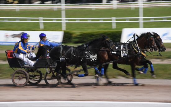 Radio Monte Carlo Grand Prix horse race