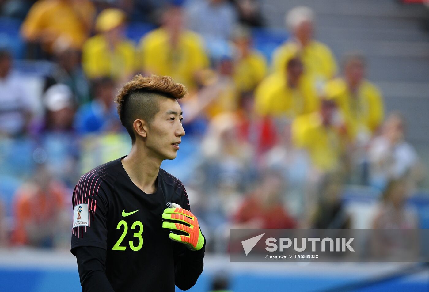 Russia World Cup Sweden - South Korea