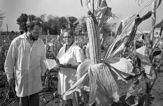 All-Union Institute of Plant Industry