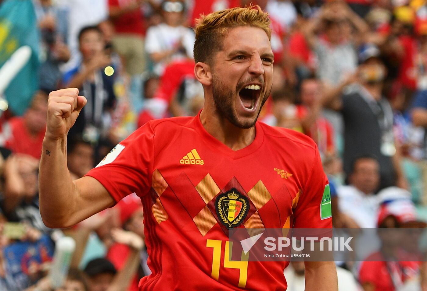 Russia World Cup Belgium - Panama