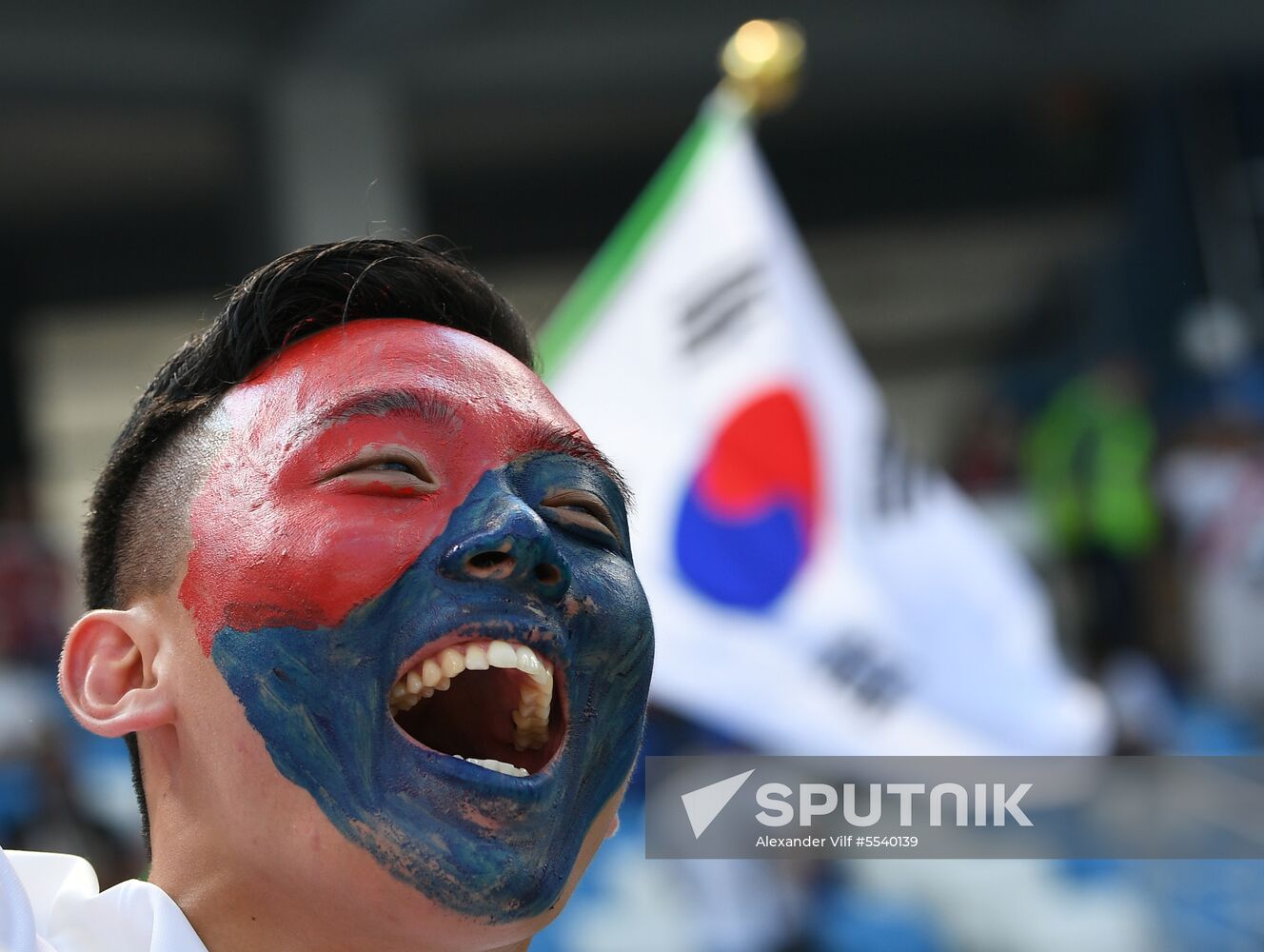 Russia World Cup Sweden - South Korea