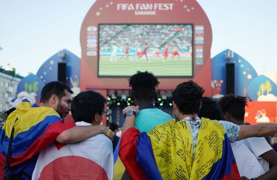 Russia World Cup Fans