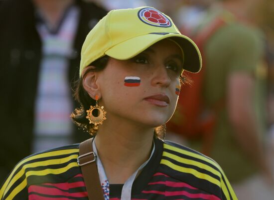Russia World Cup Fans