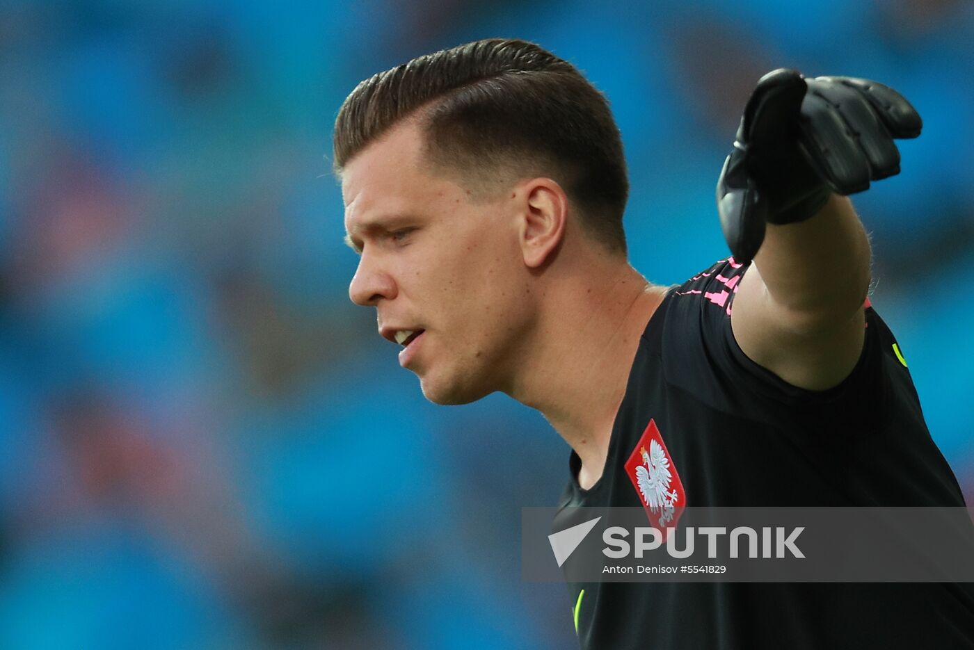 Russia World Cup Poland - Senegal