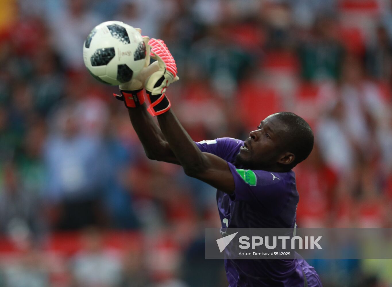 Russia World Cup Poland - Senegal