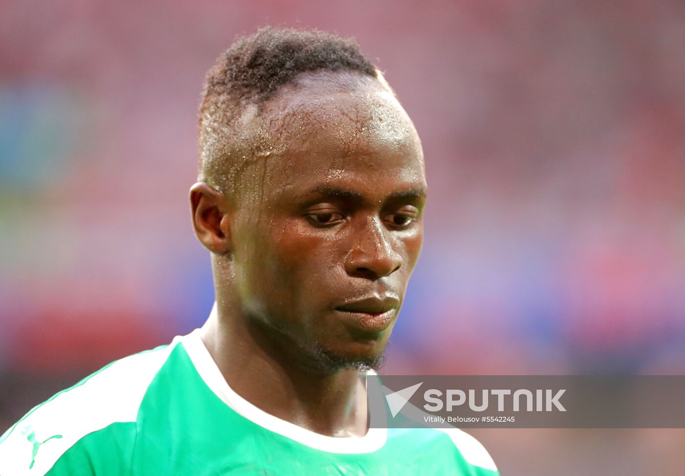 Russia World Cup Poland - Senegal