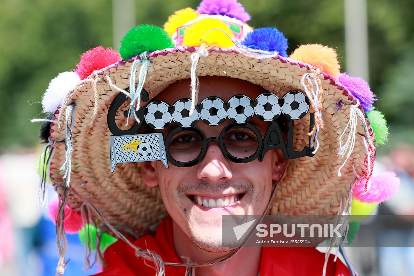 Russia World Cup Fans