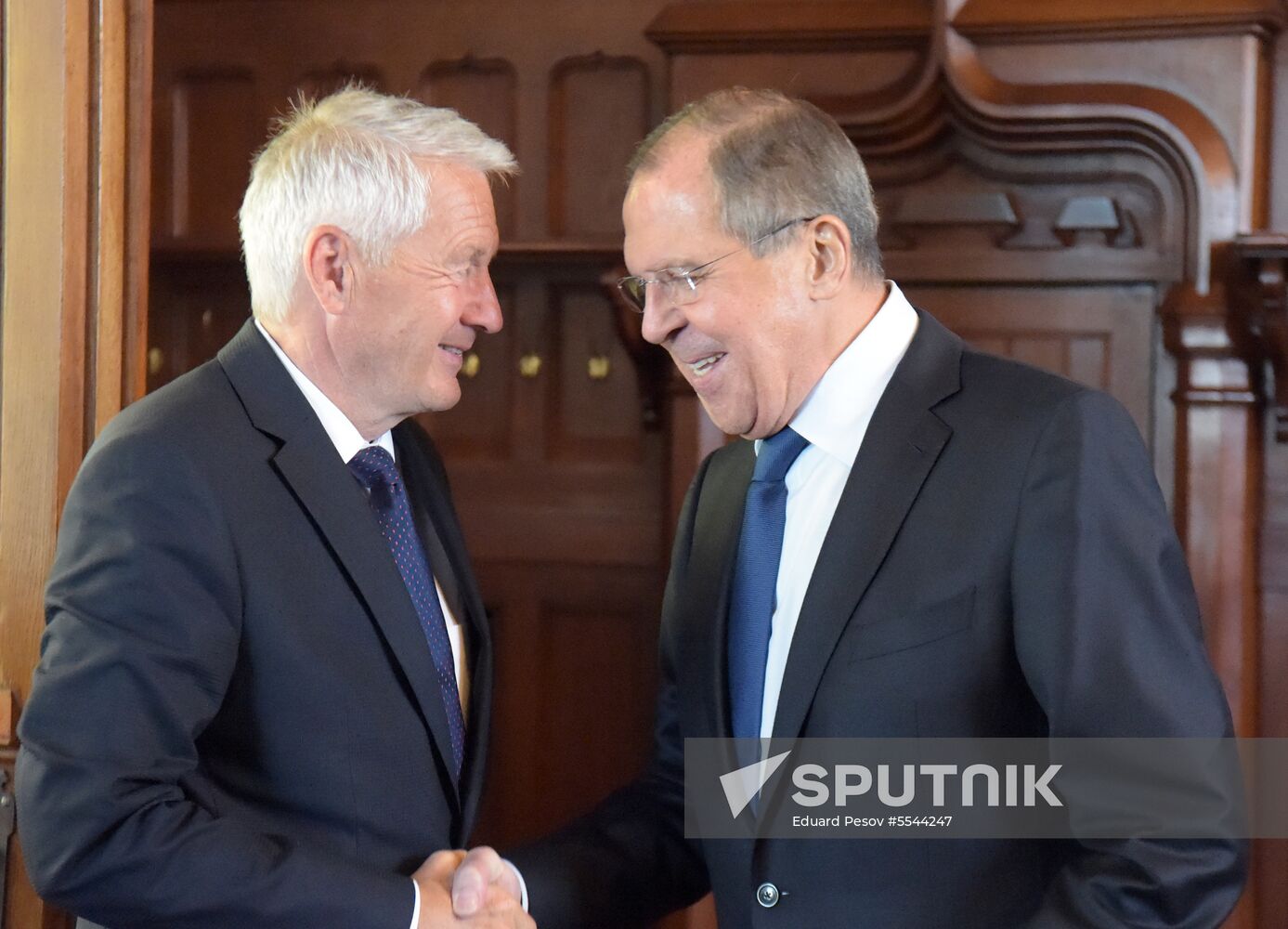 Russian Foreign Minister Sergei Lavrov meets with Secretary General of the Council of Europe Thorbjorn Jagland