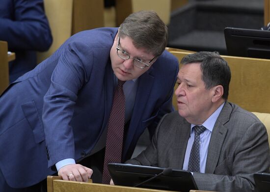 State Duma plenary meeting