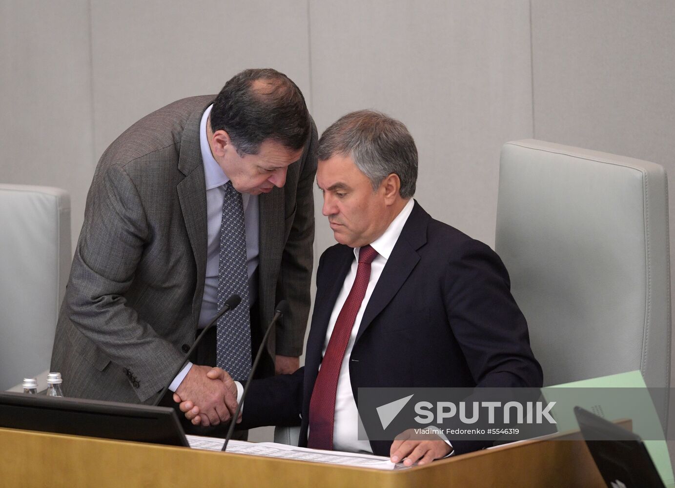 State Duma plenary meeting