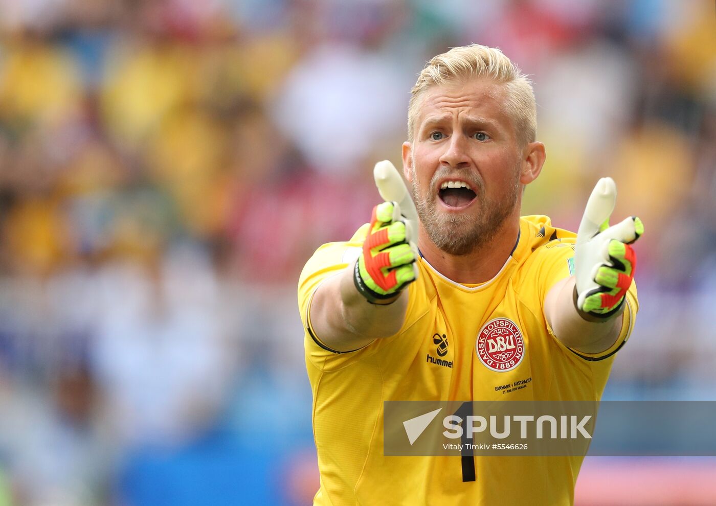 Russia World Cup Denmark - Australia