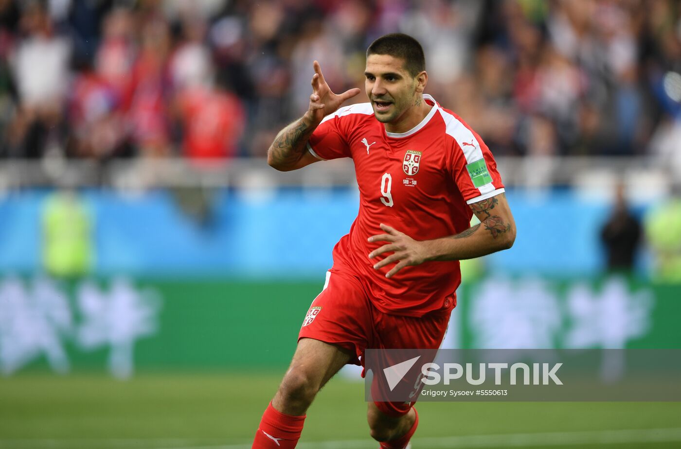 Russia World Cup Serbia - Switzerland