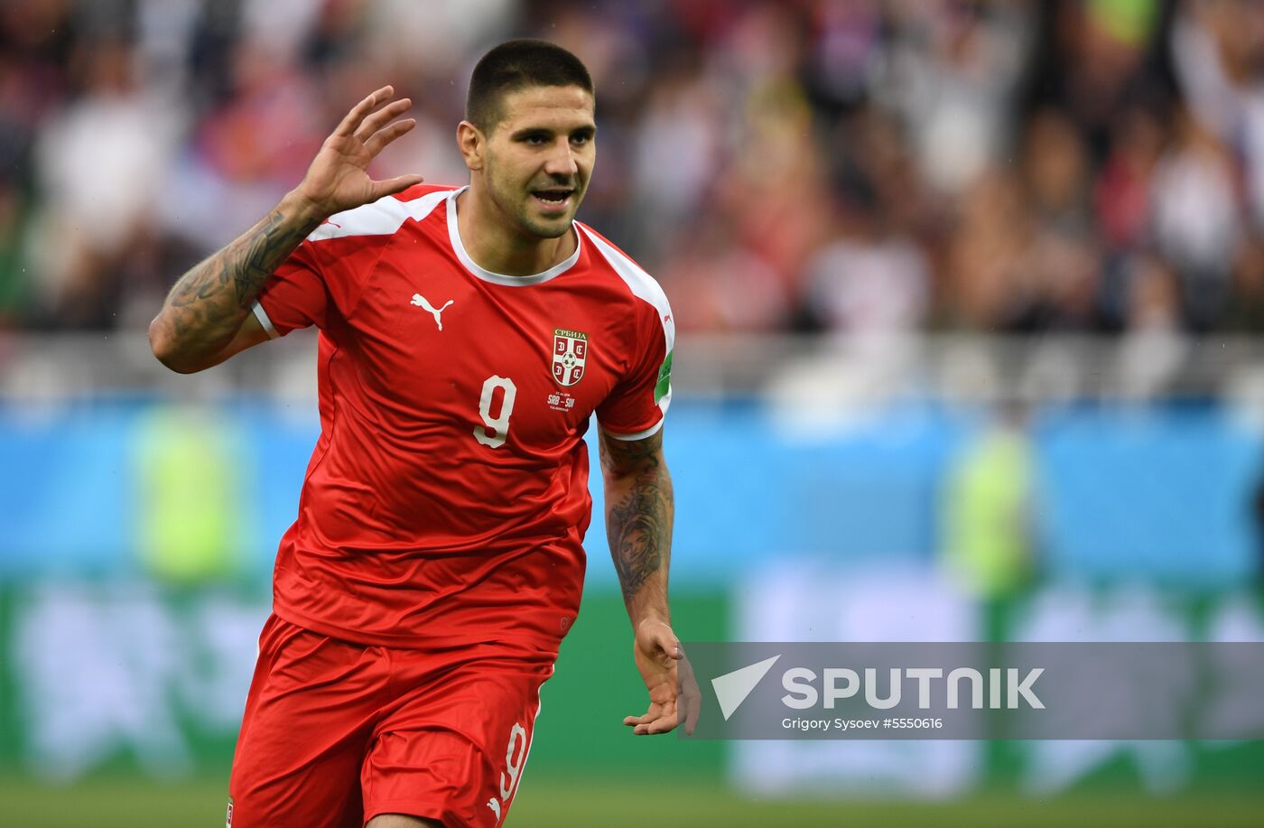 Russia World Cup Serbia - Switzerland