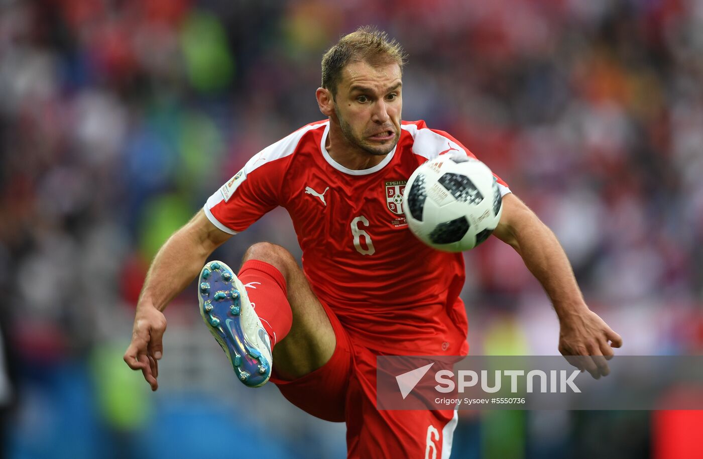 Russia World Cup Serbia - Switzerland