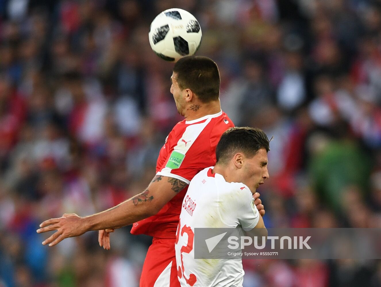 Russia World Cup Serbia - Switzerland