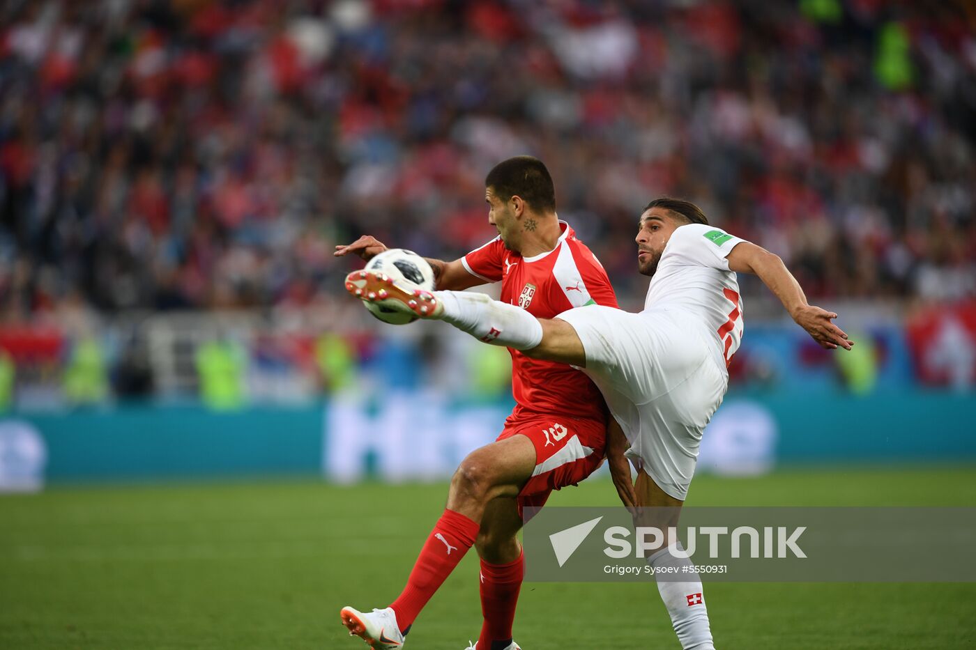Russia World Cup Serbia - Switzerland
