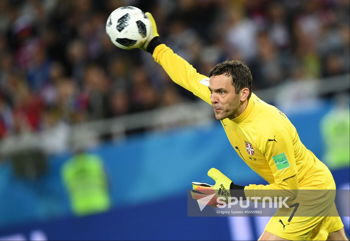 Russia World Cup Serbia - Switzerland