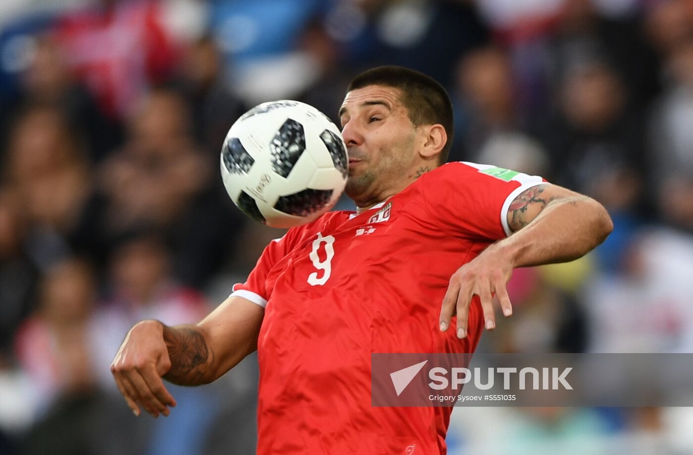 Russia World Cup Serbia - Switzerland