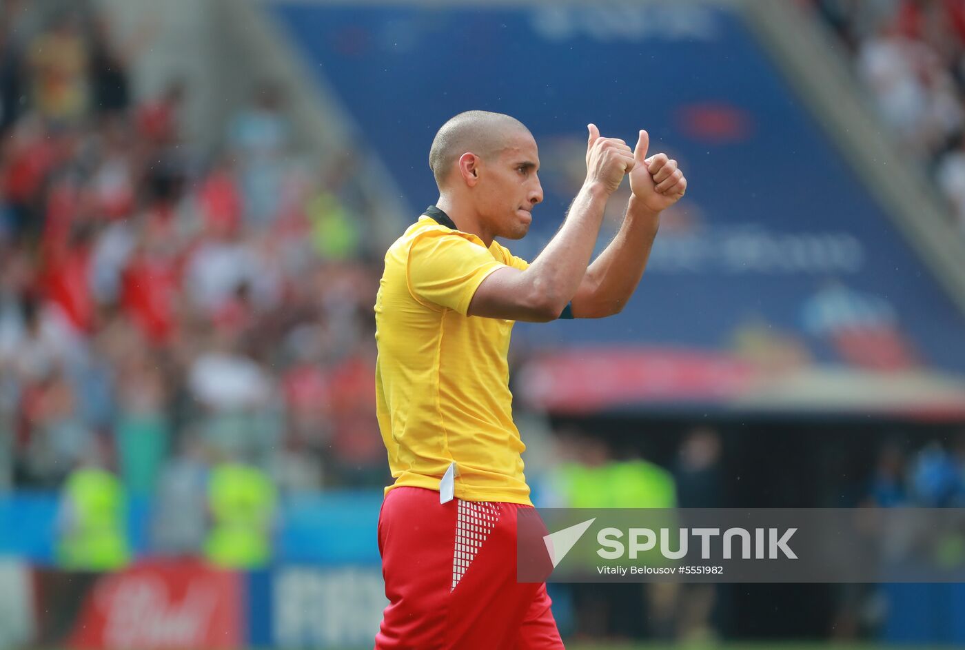 Russia World Cup Belgium - Tunisia
