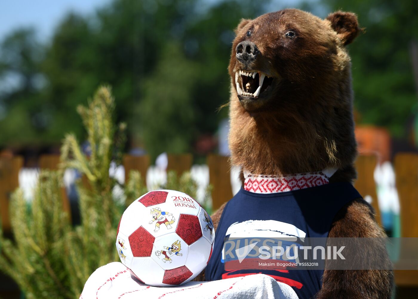 Sabantuy festival in Kazan