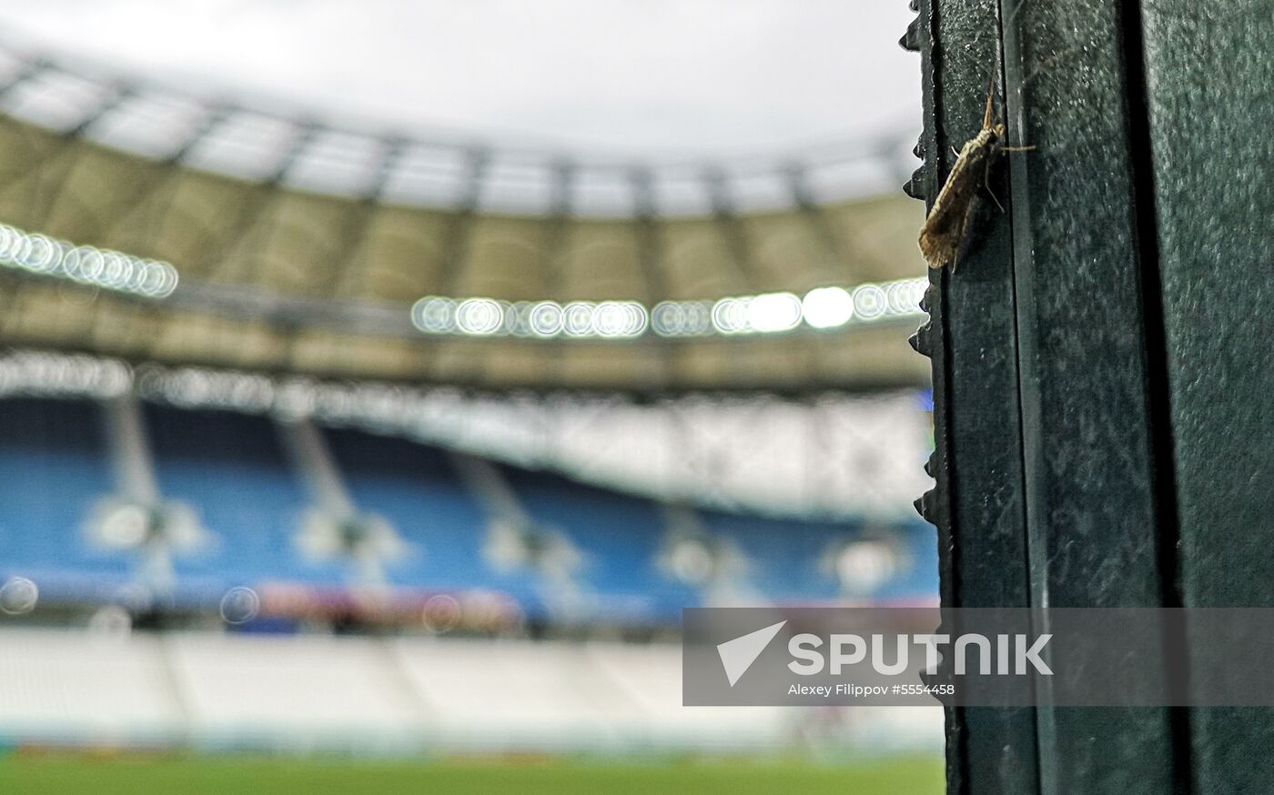 Russia World Cup Egypt Training