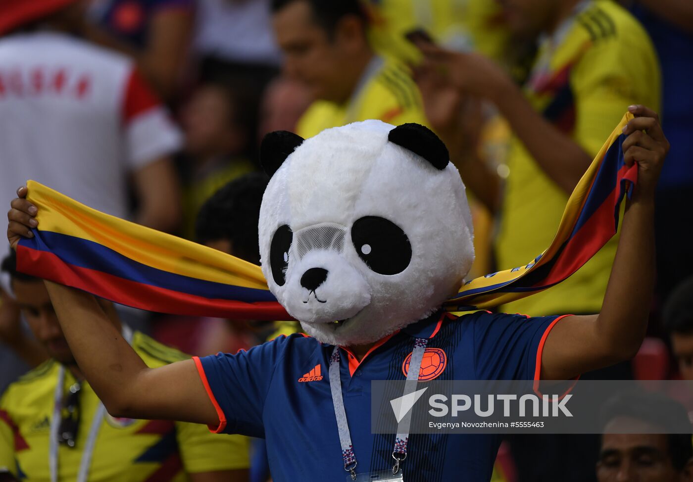 Russia World Cup Poland - Colombia