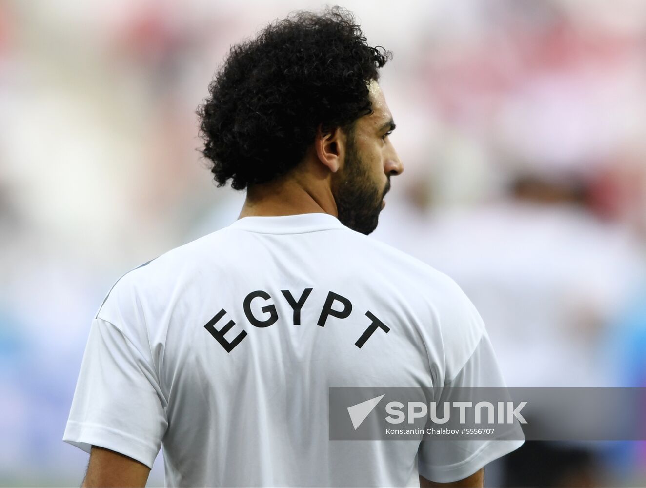 Russia World Cup Saudi Arabia - Egypt