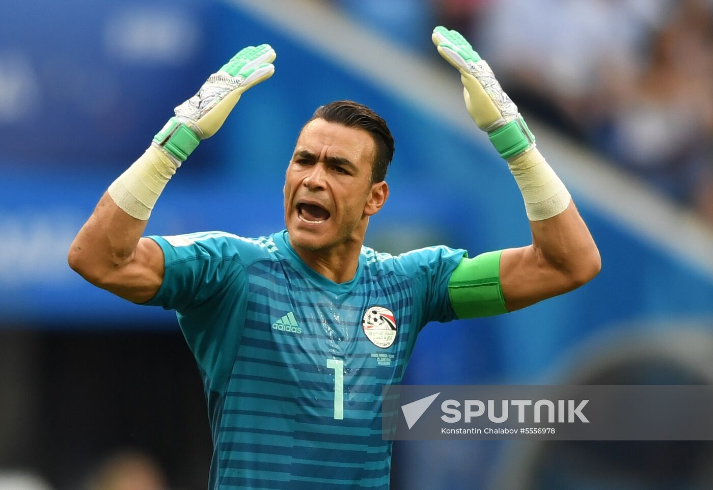 Russia World Cup Saudi Arabia - Egypt