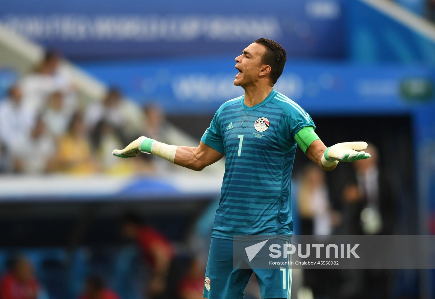 Russia World Cup Saudi Arabia - Egypt