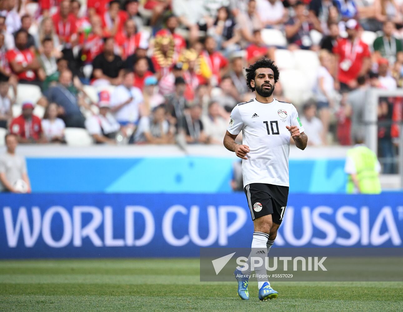 Russia World Cup Saudi Arabia - Egypt